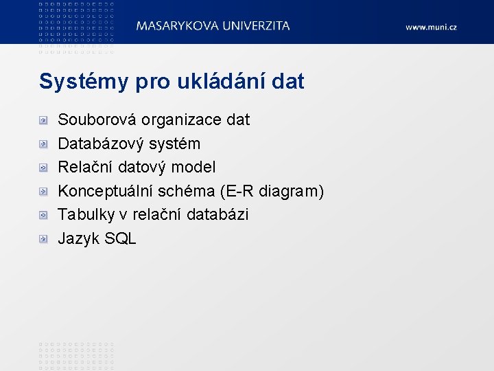 Systémy pro ukládání dat Souborová organizace dat Databázový systém Relační datový model Konceptuální schéma