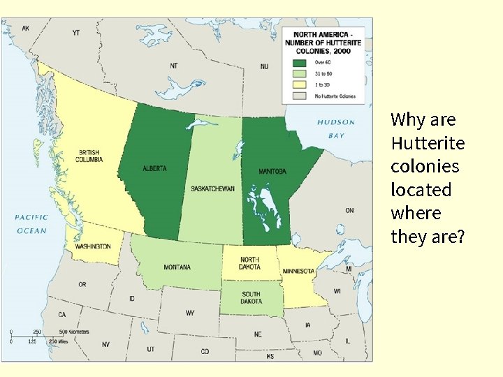 Why are Hutterite colonies located where they are? 