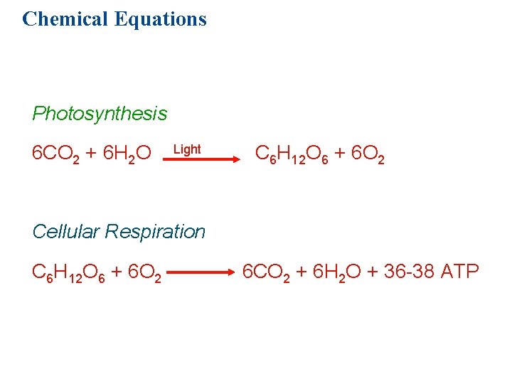 Chemical Equations Photosynthesis 6 CO 2 + 6 H 2 O Light C 6