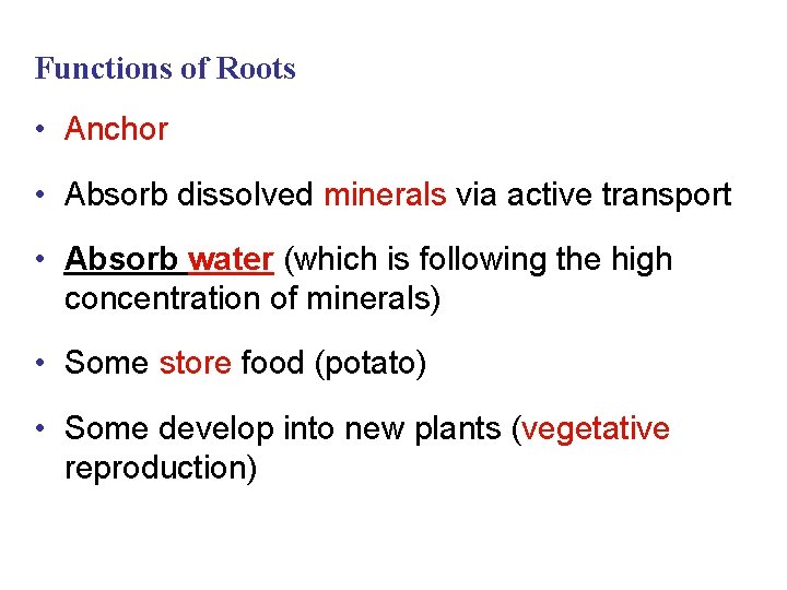 Functions of Roots • Anchor • Absorb dissolved minerals via active transport • Absorb