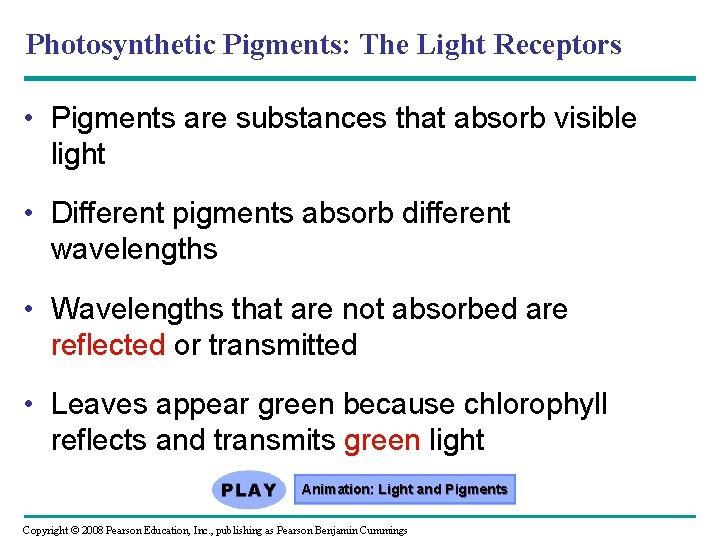 Photosynthetic Pigments: The Light Receptors • Pigments are substances that absorb visible light •