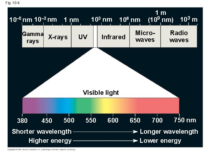 Fig. 10 -6 10– 5 nm 10– 3 nm 103 nm 1 nm Gamma
