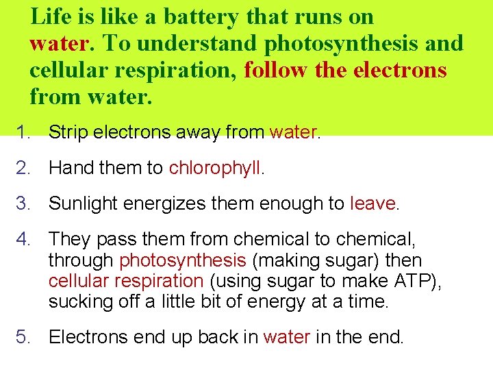 Life is like a battery that runs on water. To understand photosynthesis and cellular