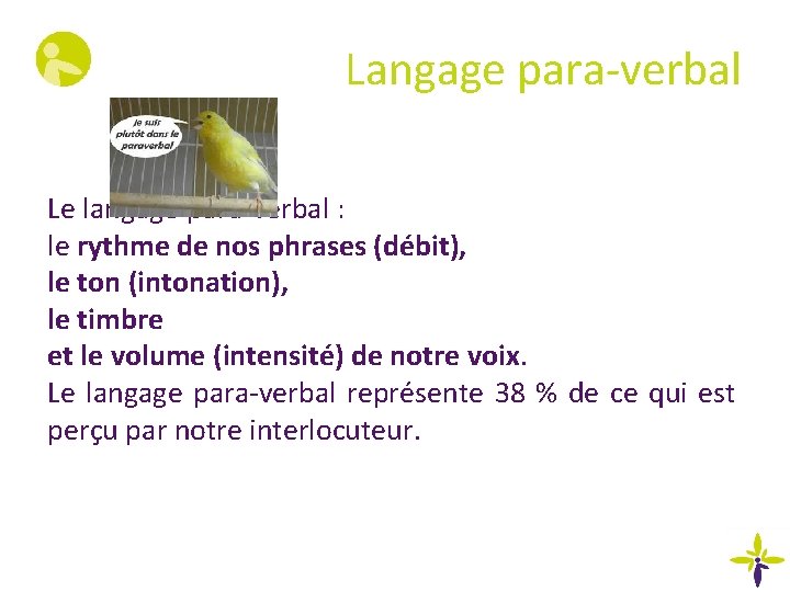 Langage para-verbal Le langage para-verbal : le rythme de nos phrases (débit), le ton