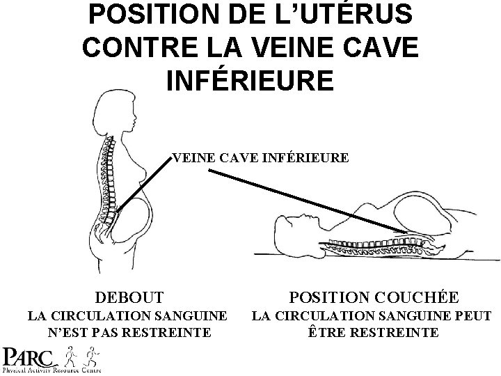POSITION DE L’UTÉRUS CONTRE LA VEINE CAVE INFÉRIEURE DEBOUT POSITION COUCHÉE LA CIRCULATION SANGUINE POSITION DE L’UTÉRUS CONTRE LA VEINE CAVE INFÉRIEURE DEBOUT POSITION COUCHÉE LA CIRCULATION SANGUINE