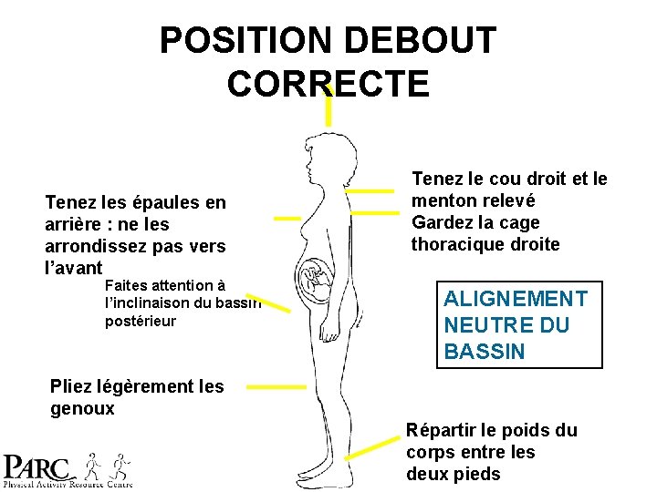 POSITION DEBOUT CORRECTE Tenez les épaules en arrière : ne les arrondissez pas vers POSITION DEBOUT CORRECTE Tenez les épaules en arrière : ne les arrondissez pas vers