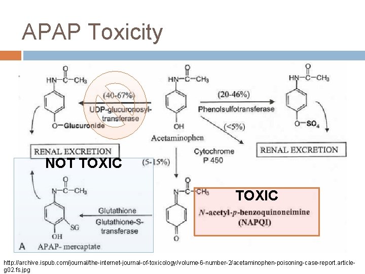 APAP Toxicity NOT TOXIC http: //archive. ispub. com/journal/the-internet-journal-of-toxicology/volume-6 -number-2/acetaminophen-poisoning-case-report. articleg 02. fs. jpg 