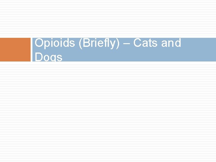 Opioids (Briefly) – Cats and Dogs 