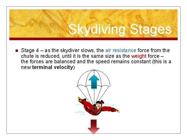 Skydiving Stages n Stage 4 – as the skydiver slows, the air resistance force