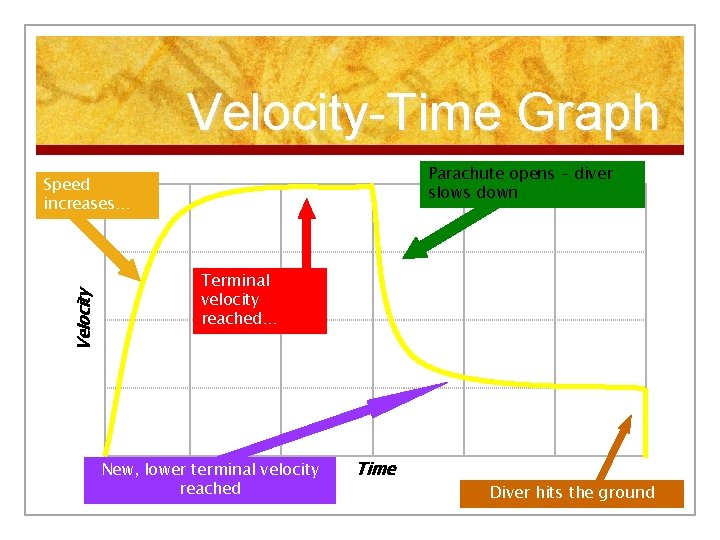 Velocity-Time Graph Parachute opens – diver slows down Velocity Speed increases… Terminal velocity reached…