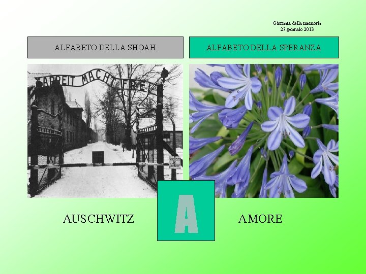 Giornata della memoria 27 gennaio 2013 ALFABETO DELLA SHOAH AUSCHWITZ ALFABETO DELLA SPERANZA AMORE