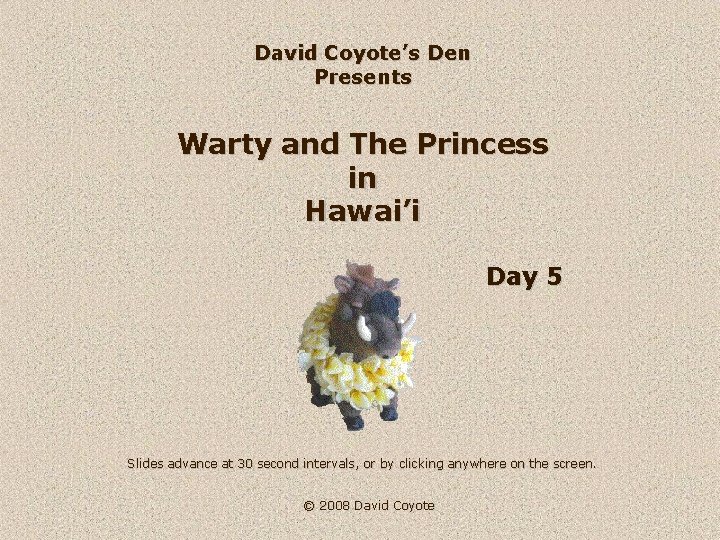 David Coyote’s Den Presents Warty and The Princess in Hawai’i Day 5 Slides advance