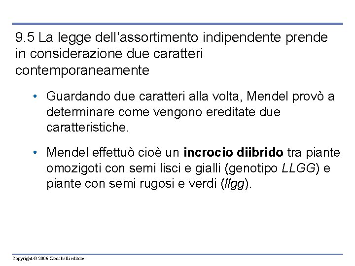 9. 5 La legge dell’assortimento indipendente prende in considerazione due caratteri contemporaneamente • Guardando