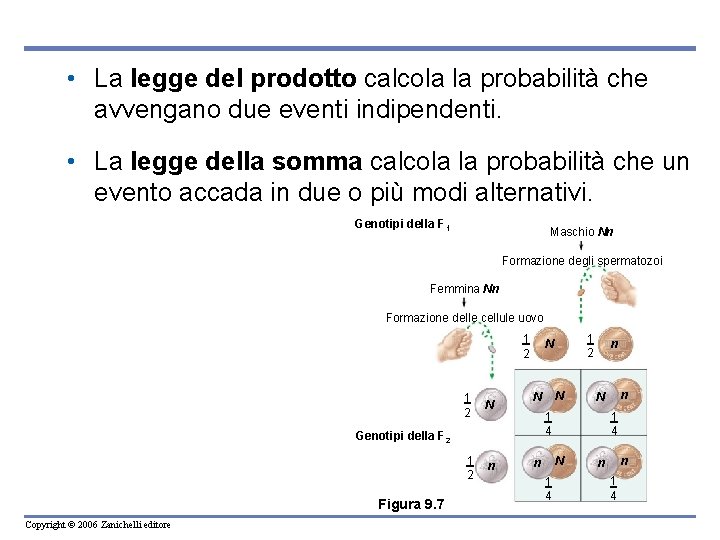  • La legge del prodotto calcola la probabilità che avvengano due eventi indipendenti.