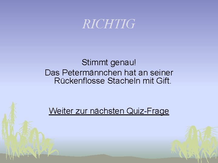 RICHTIG Stimmt genau! Das Petermännchen hat an seiner Rückenflosse Stacheln mit Gift. Weiter zur