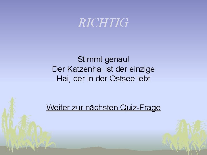 RICHTIG Stimmt genau! Der Katzenhai ist der einzige Hai, der in der Ostsee lebt