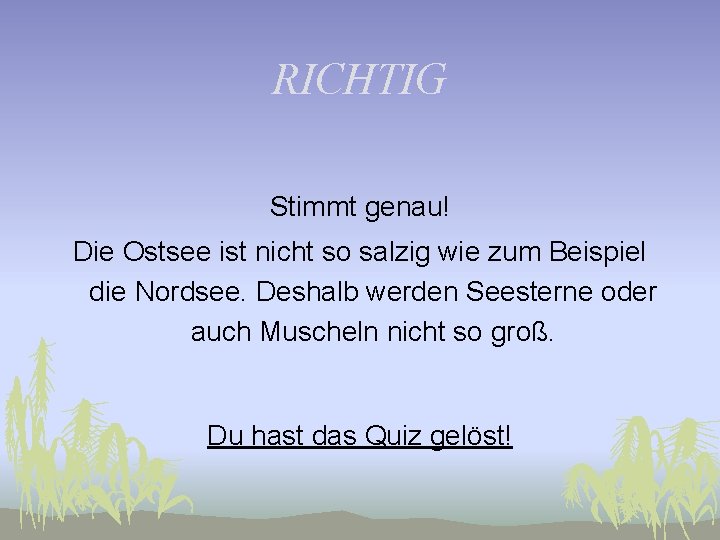 RICHTIG Stimmt genau! Die Ostsee ist nicht so salzig wie zum Beispiel die Nordsee.