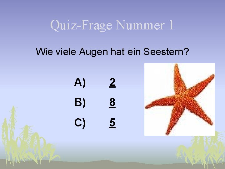 Quiz-Frage Nummer 1 Wie viele Augen hat ein Seestern? A) 2 B) 8 C)