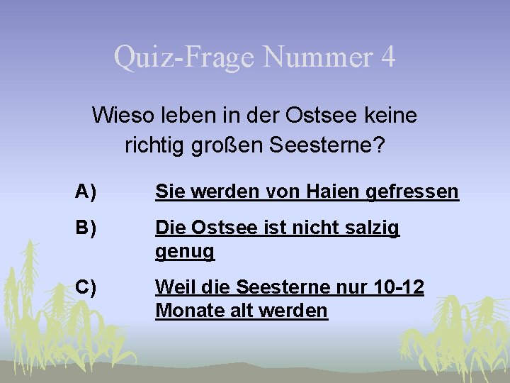 Quiz-Frage Nummer 4 Wieso leben in der Ostsee keine richtig großen Seesterne? A) Sie