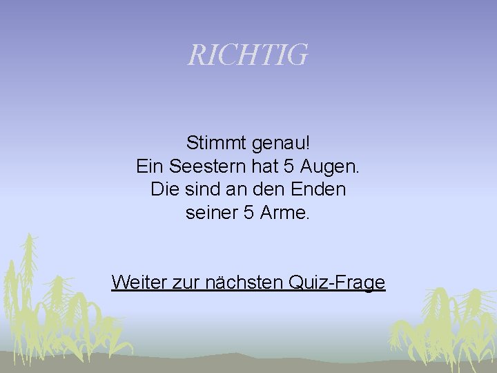 RICHTIG Stimmt genau! Ein Seestern hat 5 Augen. Die sind an den Enden seiner