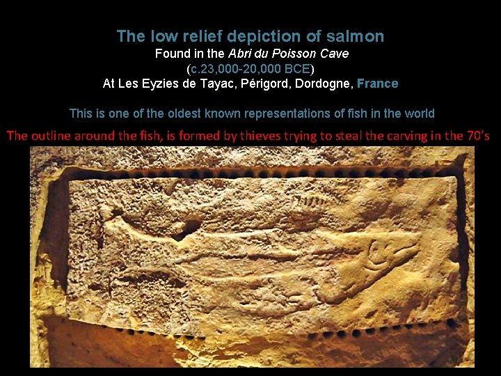 The low relief depiction of salmon Found in the Abri du Poisson Cave (c. The low relief depiction of salmon Found in the Abri du Poisson Cave (c.