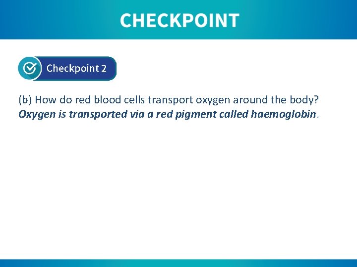 (b) How do red blood cells transport oxygen around the body? Oxygen is transported