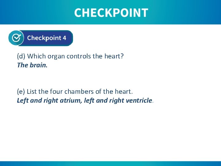 (d) Which organ controls the heart? The brain. (e) List the four chambers of