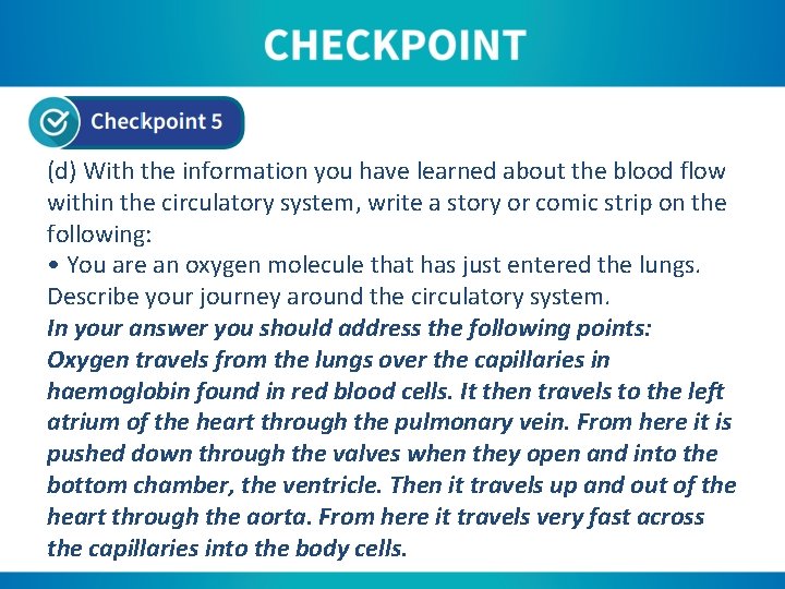 (d) With the information you have learned about the blood flow within the circulatory