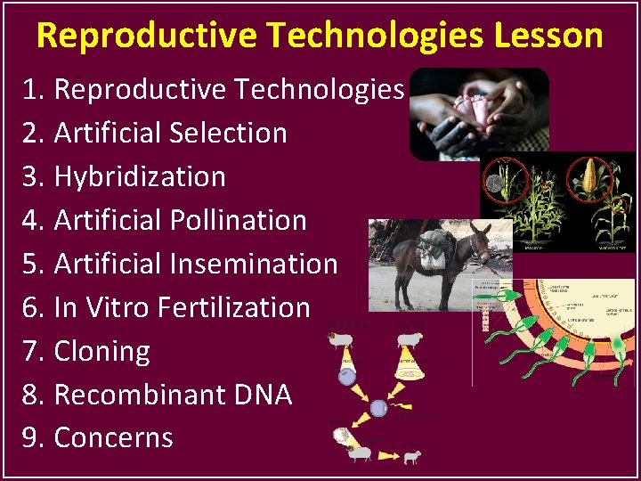 Reproductive Technologies Lesson 1. Reproductive Technologies 2. Artificial Selection 3. Hybridization 4. Artificial Pollination