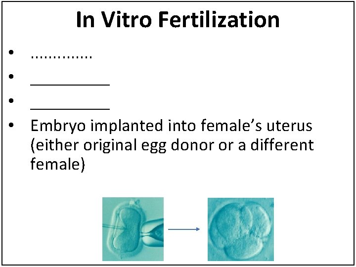 In Vitro Fertilization • • . . . _________ Embryo implanted into female’s uterus