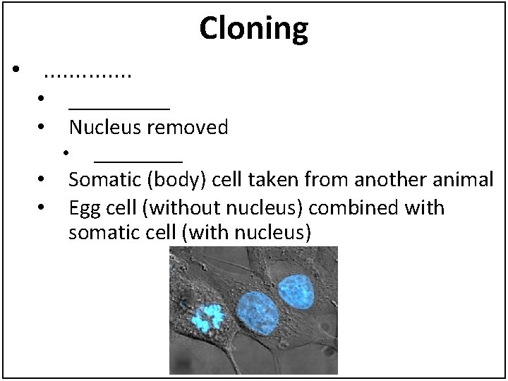 Cloning • . . . • • _____ Nucleus removed • • • _____