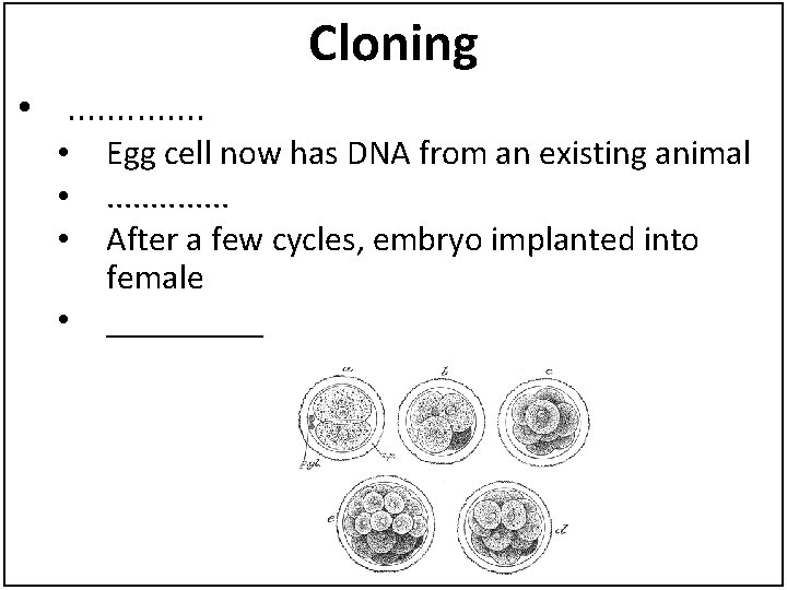 Cloning • . . . • • Egg cell now has DNA from an