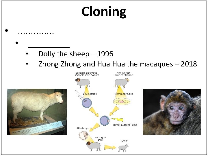 Cloning • . . . • _____ • • Dolly the sheep – 1996