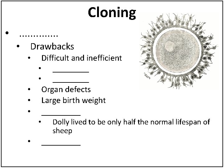 Cloning • . . . • Drawbacks • Difficult and inefficient • • •