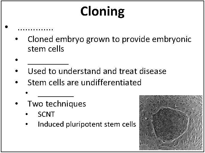 Cloning • . . . • • Cloned embryo grown to provide embryonic stem