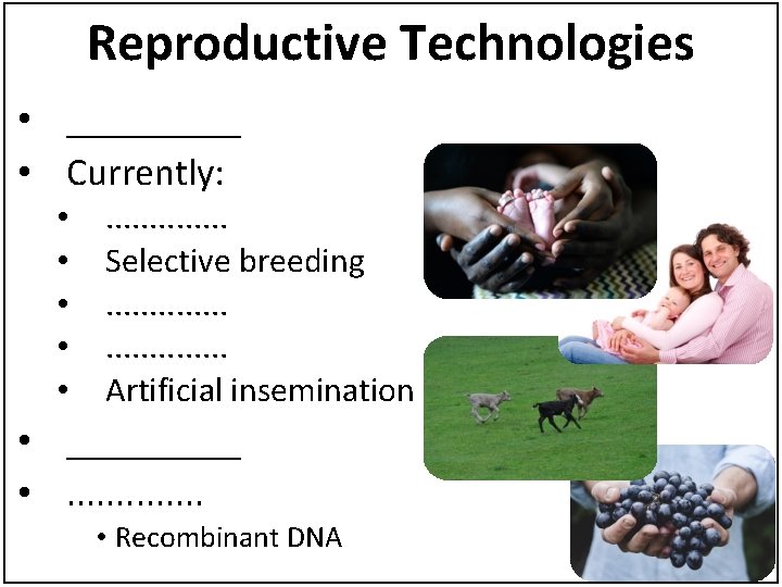 Reproductive Technologies • _____ • Currently: • • • . . . Selective breeding.