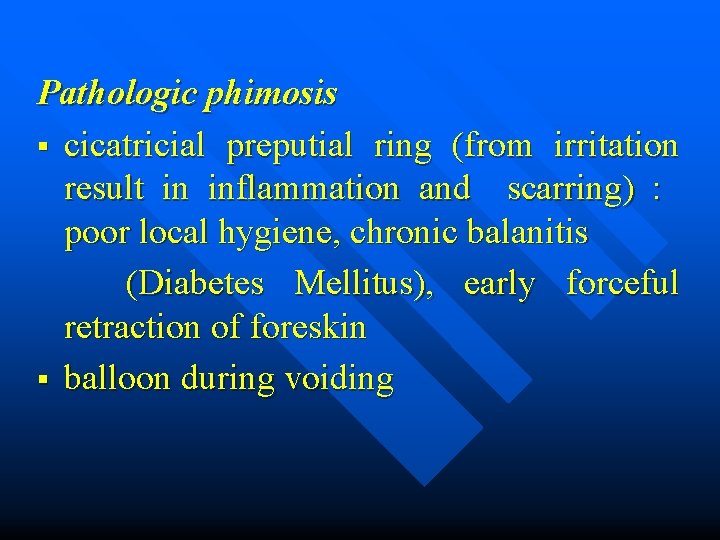 Pathologic phimosis § cicatricial preputial ring (from irritation result in inflammation and scarring) :