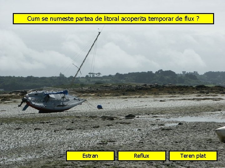 Cum se numeste partea de litoral acoperita temporar de flux ? Estran Reflux Teren