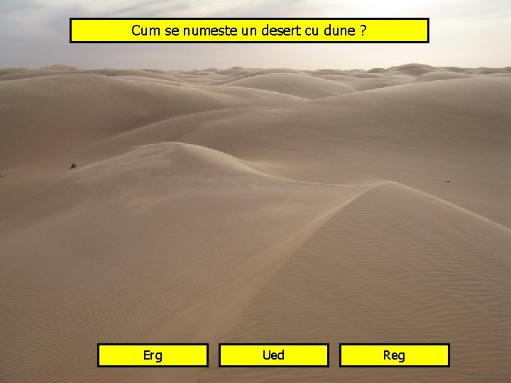 Cum se numeste un desert cu dune ? Erg Ued Reg 