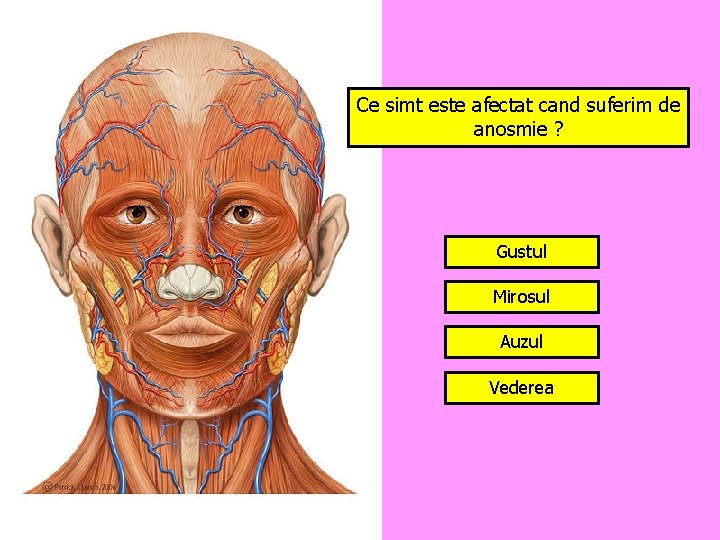 Ce simt este afectat cand suferim de anosmie ? Gustul Mirosul Auzul Vederea 