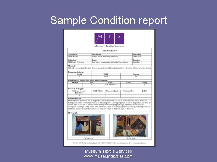 Sample Condition report Museum Textile Services www. museumtextiles. com 