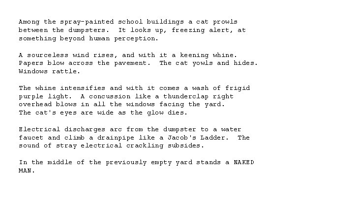 Among the spray-painted school buildings a cat prowls between the dumpsters. It looks up,