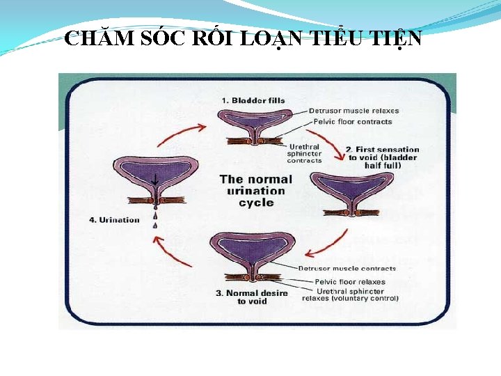 CHĂM SÓC RỐI LOẠN TIỂU TIỆN 