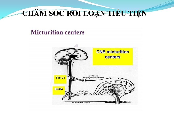 CHĂM SÓC RỐI LOẠN TIỂU TIỆN 