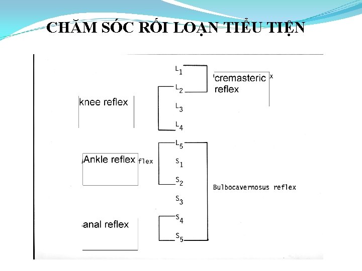 CHĂM SÓC RỐI LOẠN TIỂU TIỆN 