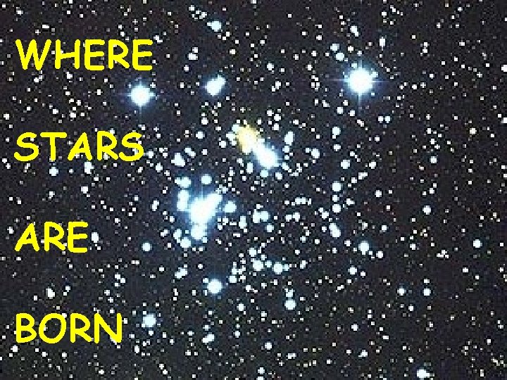 WHERE STARS ARE BORN 