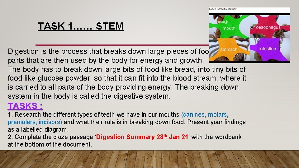 TASK 1…… STEM Digestion is the process that breaks down large pieces of food