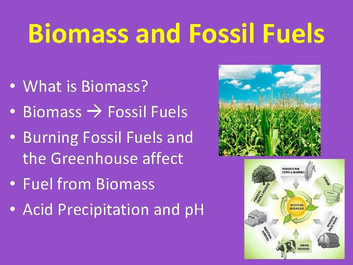 Biomass and Fossil Fuels • What is Biomass? • Biomass Fossil Fuels • Burning
