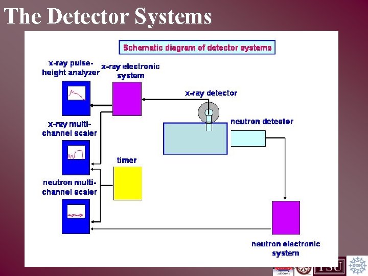 The Detector Systems 