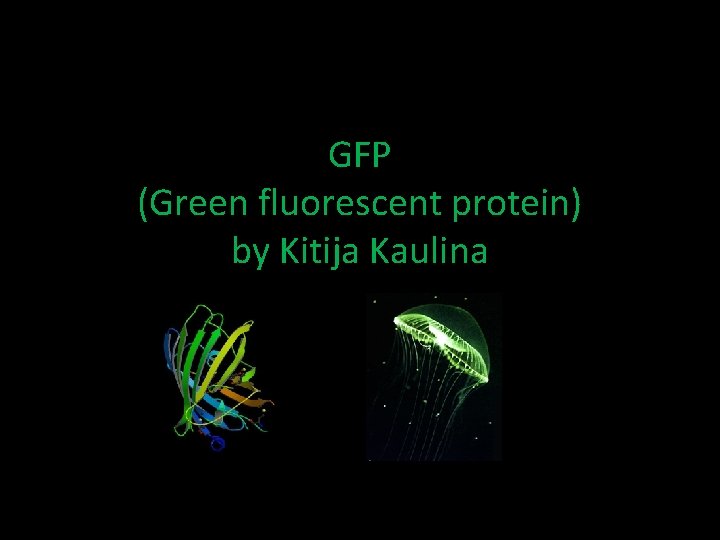 GFP (Green fluorescent protein) by Kitija Kaulina 